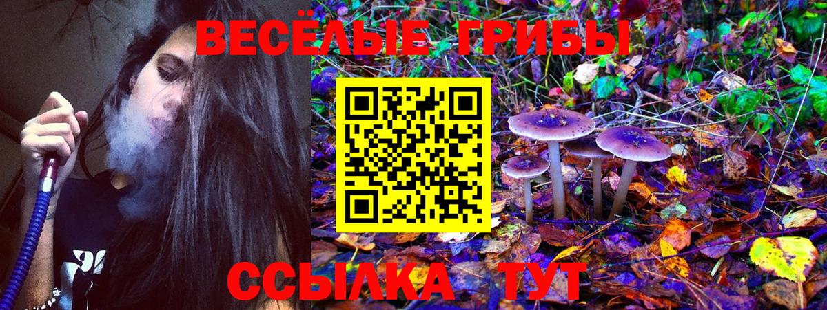 сколько стоит  Галлюциногенные грибы Psilocybe  Бугуруслан  Вход с VPN  Галлюциногенные грибы MAGIC MUSHROOMS 